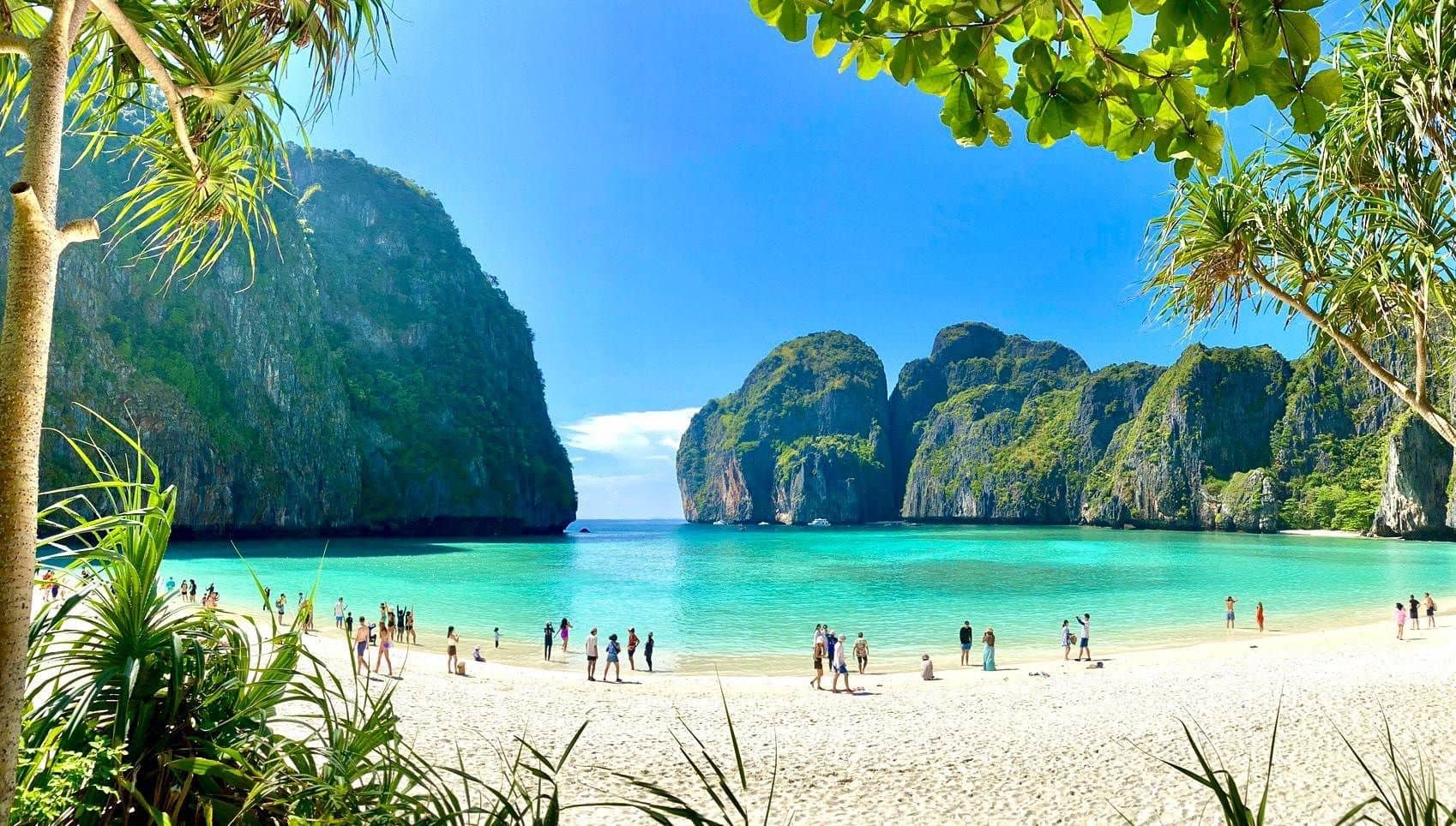 Early Bird Phi Phi Islands, Maya Bay, Bamboo Island, Chicken Island by Speedboat Trips and Day Trips