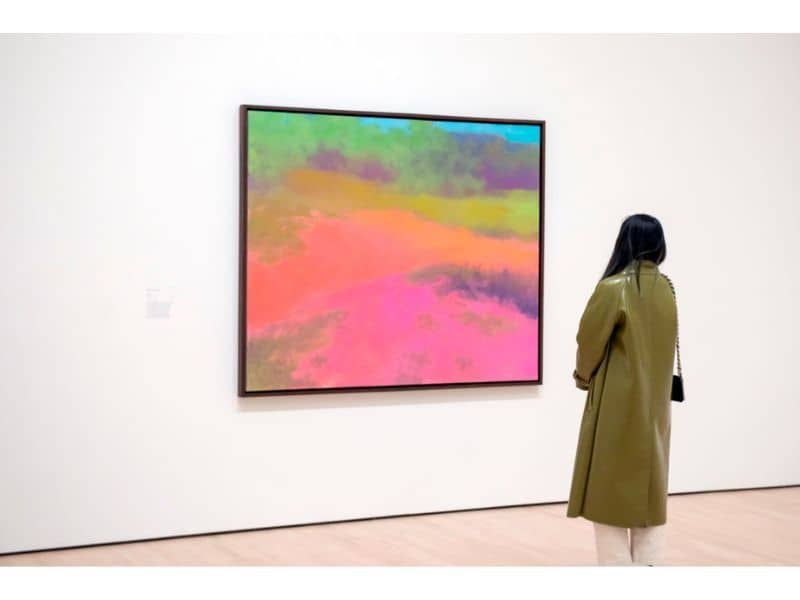 San Francisco Museum of Modern Art (SFMOMA)