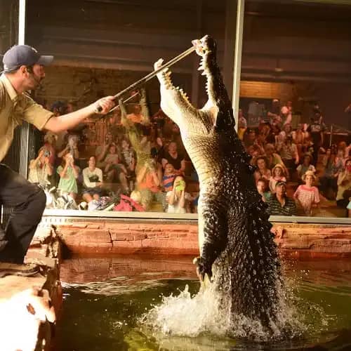 Ballarat Wildlife Park