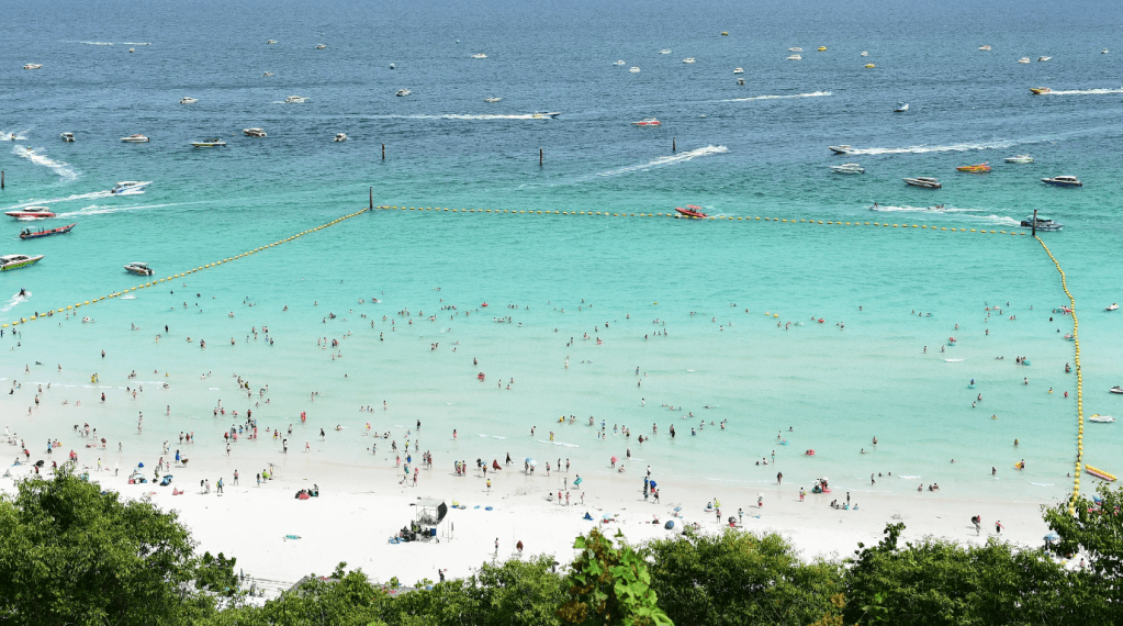 Koh Larn Speedboat Tour: Coral Island & Water Activities (Professional Guide) Trips and Day Trips