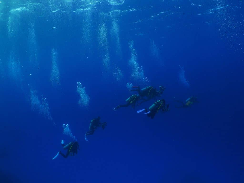 Scuba diving with top-notch equipment 4