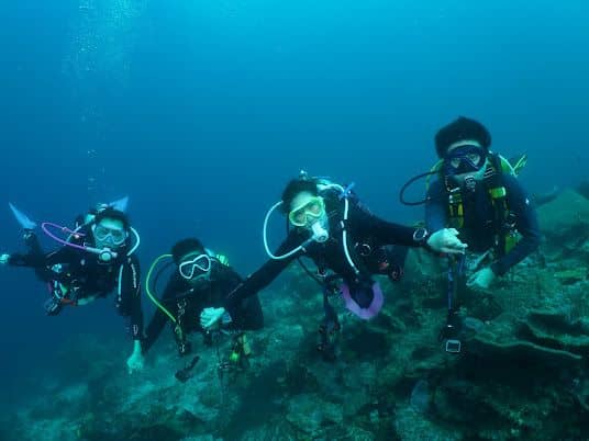 Scuba diving with top-notch equipment 5