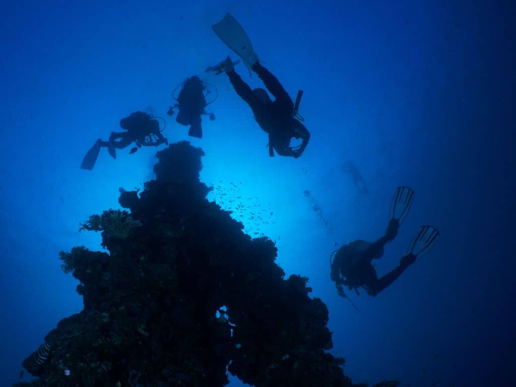 Scuba diving with top-notch equipment 6