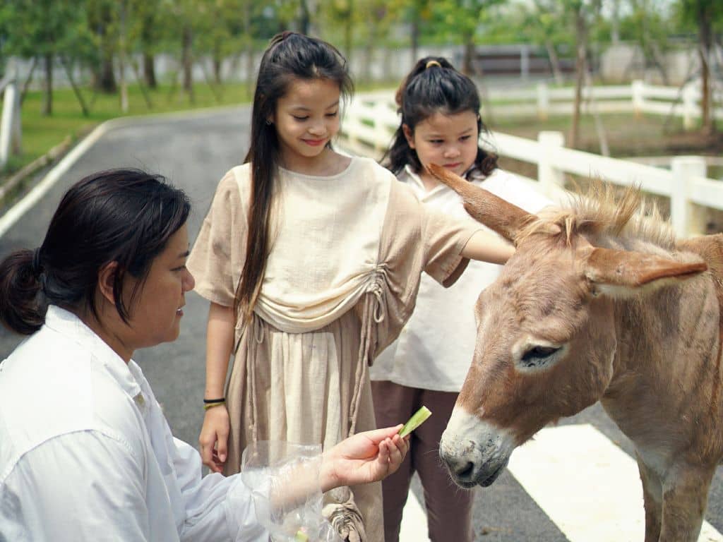 เวิร์กชอปศิลปะจากธรรมชาติ 6