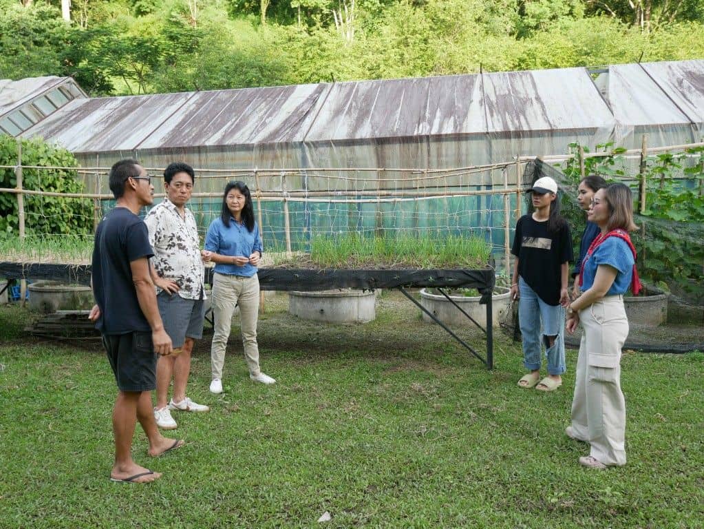 Chill out with Drip King, Pi, at Nine One Coffee Farm 5