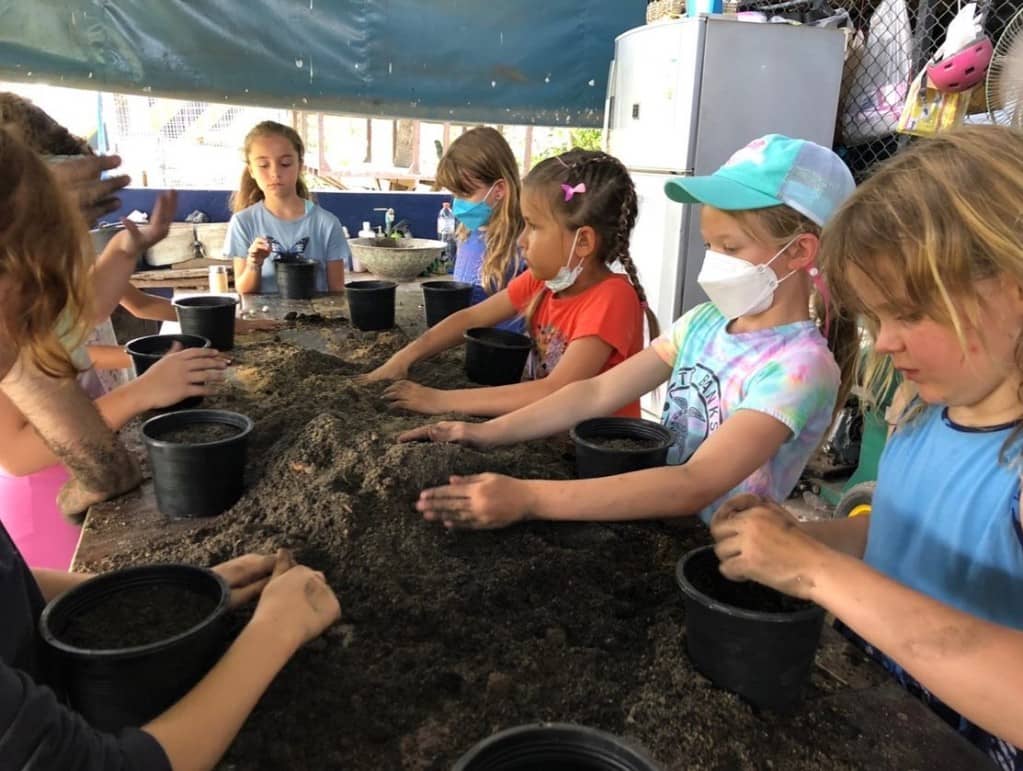 One Day Camp for family at Get Growing Community Farm Trips and Day Trips