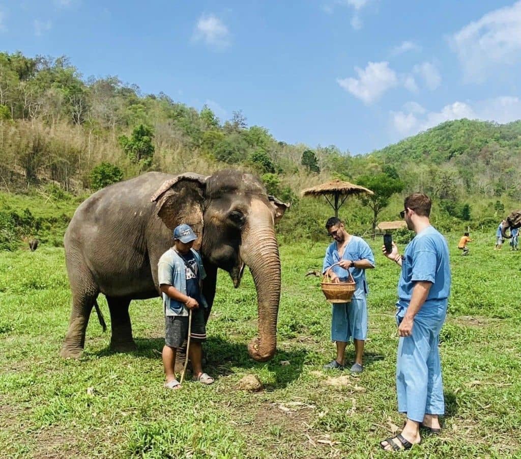 Afternoon Trip: HALF DAY ETHICAL LANNA KINGDOM ELEPHANT SANCTUARY with Pick up and Drop off Trips and Day Trips
