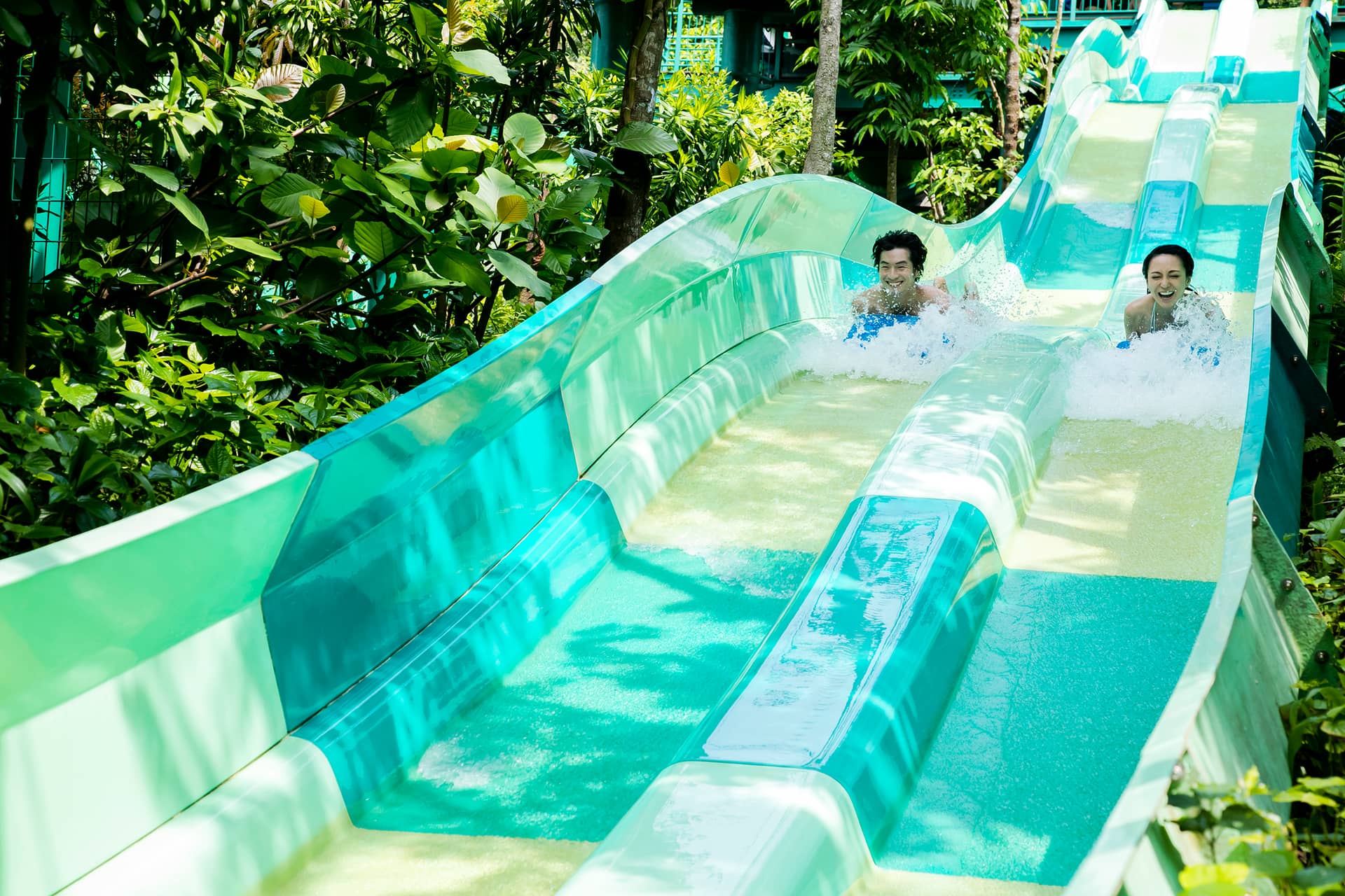 Adventure Cove Waterpark
