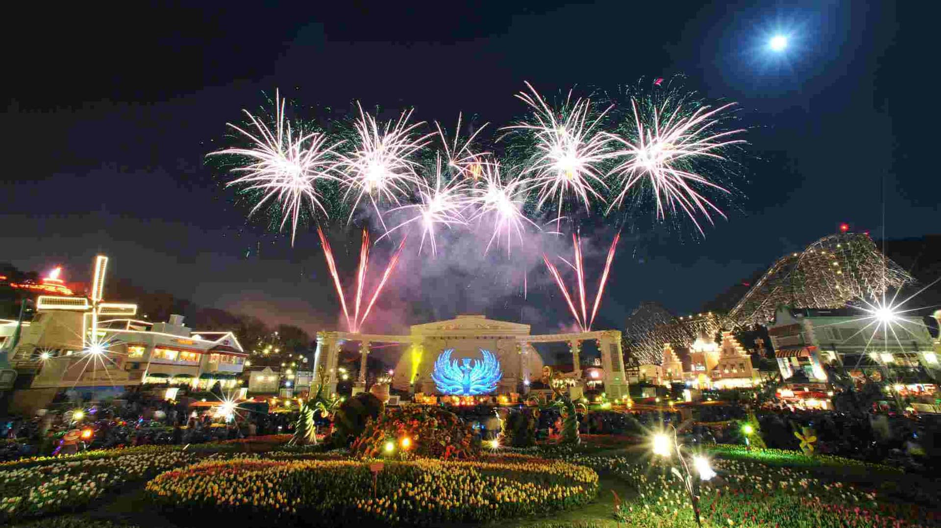 Everland Theme Park Ticket