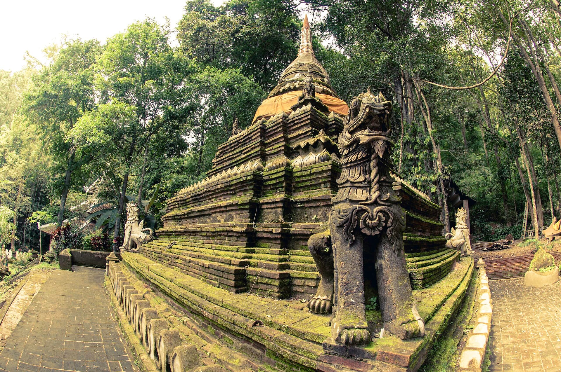 experience-blog-1