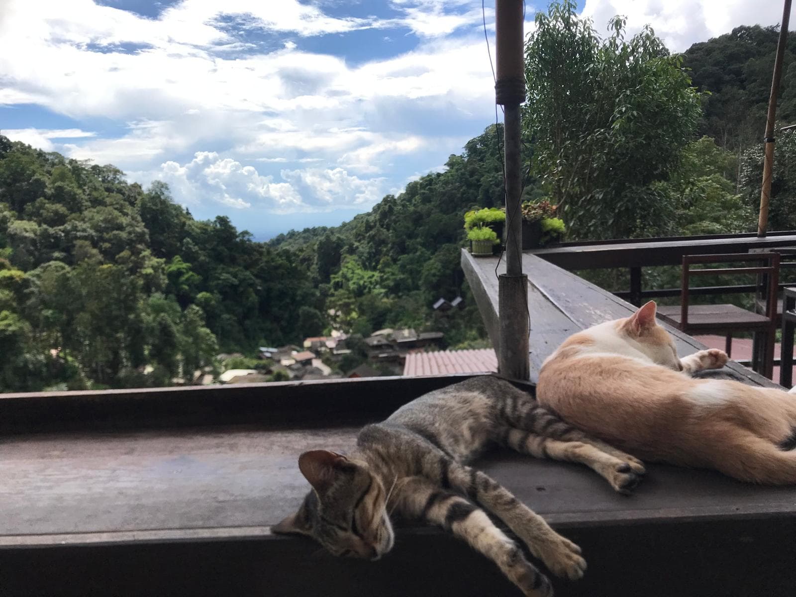 experience-blog-1