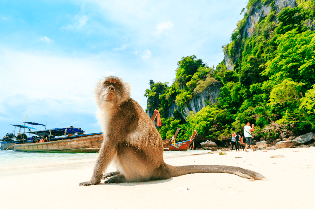 experience-blog-1