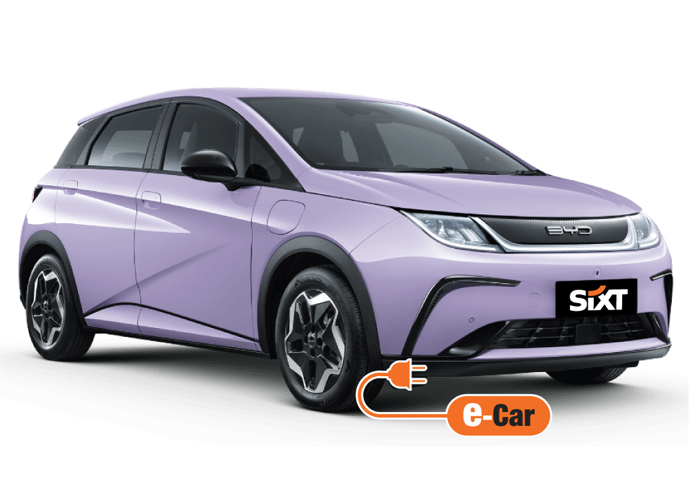 Byd Dolphin Image