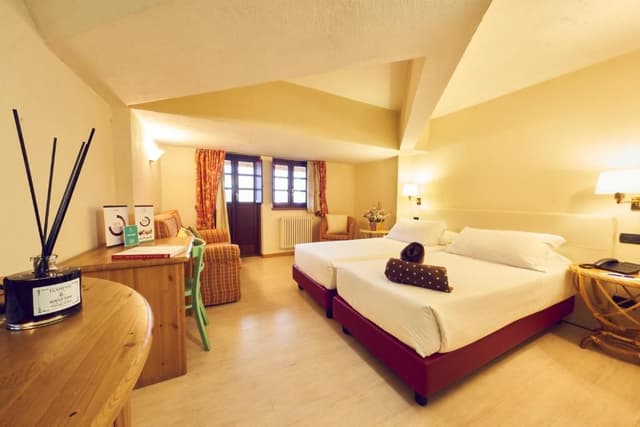 Double or Twin Room