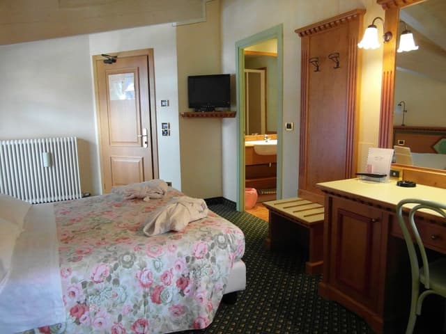 Superior Double or Twin Room