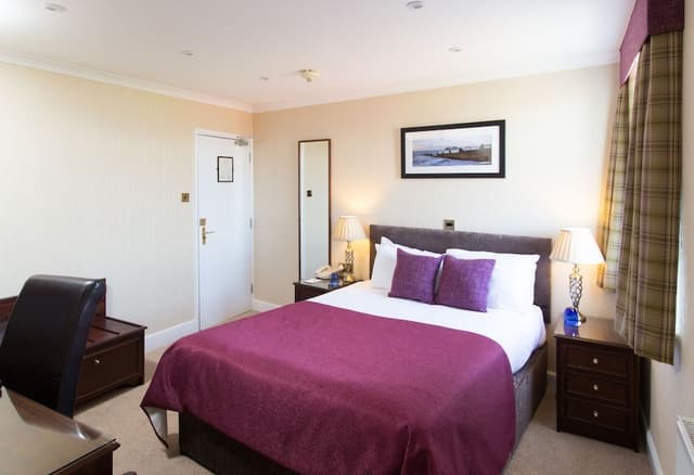 Double Room, 1 King Bed