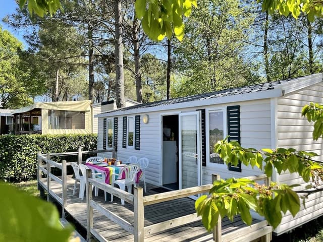 Premium Cottage