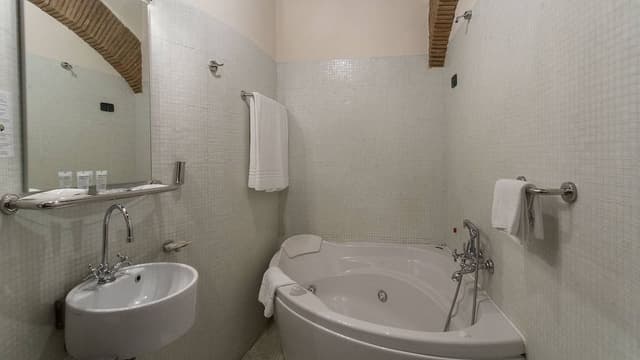 Superior Double or Twin Room, Bathtub