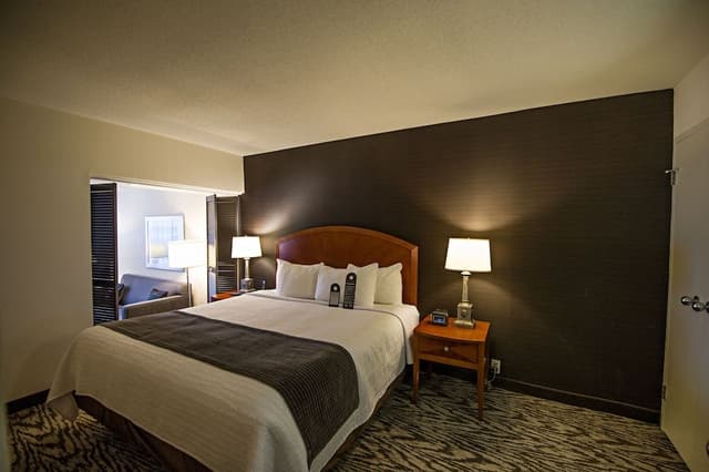 Superior Suite (1 Bedroom King)