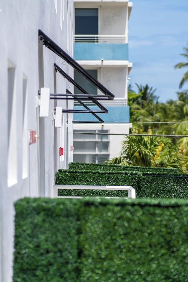 Studio Terrace