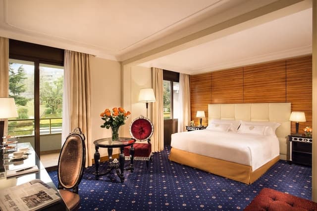 Superior Executive Single Room Garden View