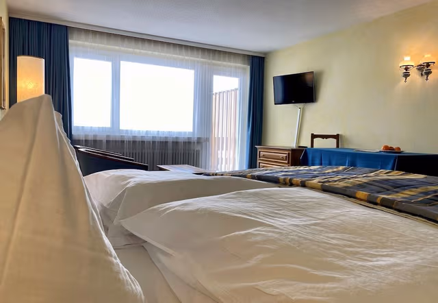 Standard Double Room, Balcony, Mountain View