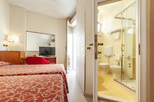 Classic Double or Twin Room