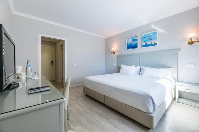 Classic Double or Twin Room