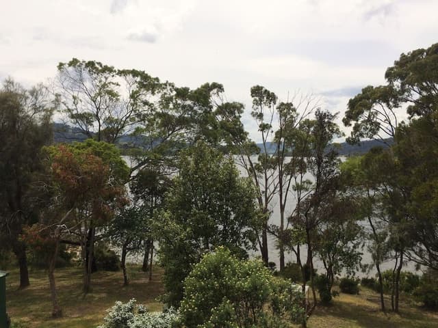 Huon Pine Room