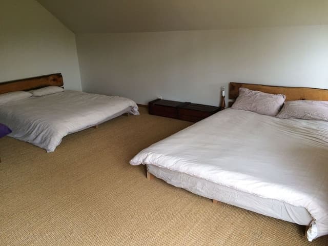 Whole House, 6 bedrooms, 4 Double, 1 Single, 3 Queen,
