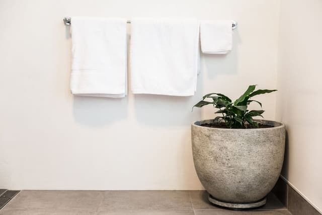 One Bedroom Apartment