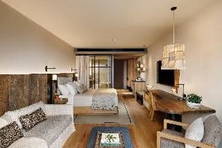 Room ONE BED