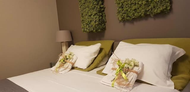 Deluxe Double Room (Green)