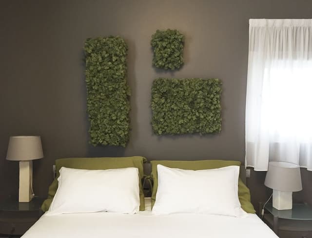 Deluxe Double Room (Green)
