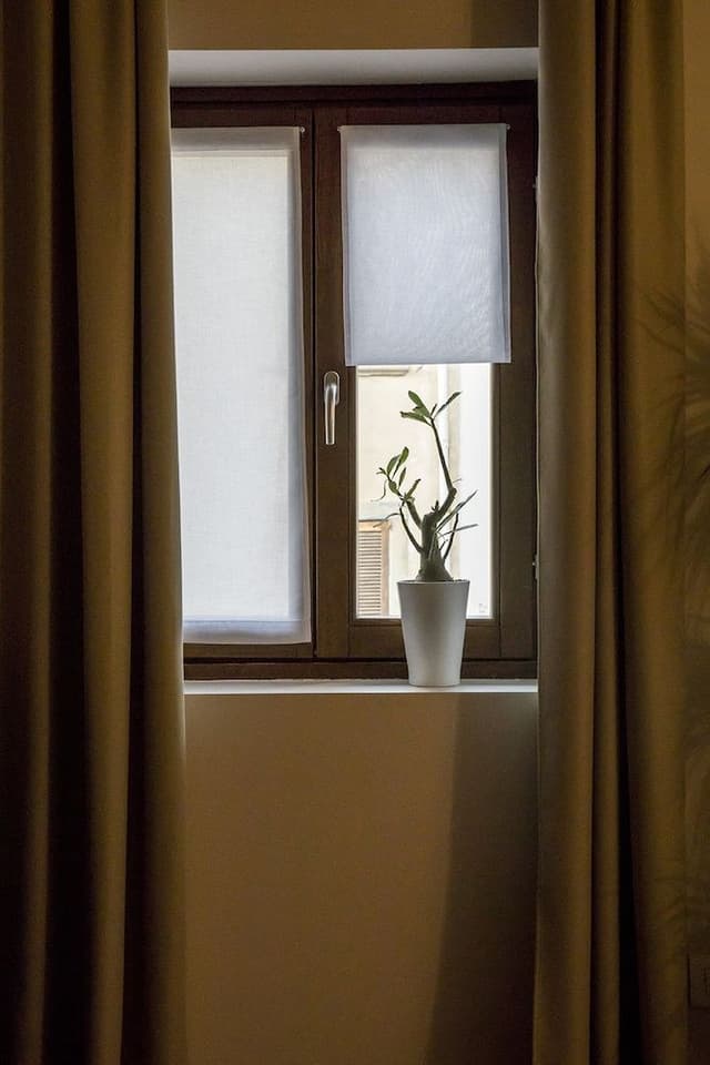 Deluxe Apartment (triple)