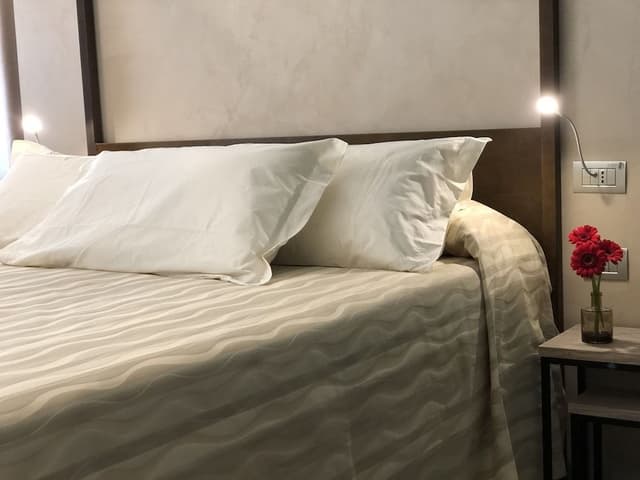 Suite, 1 Queen Bed