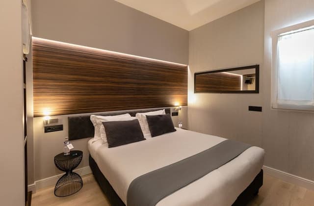 Basic Double or Twin Room