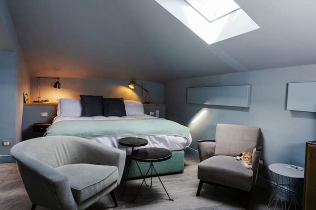 Standard Suite