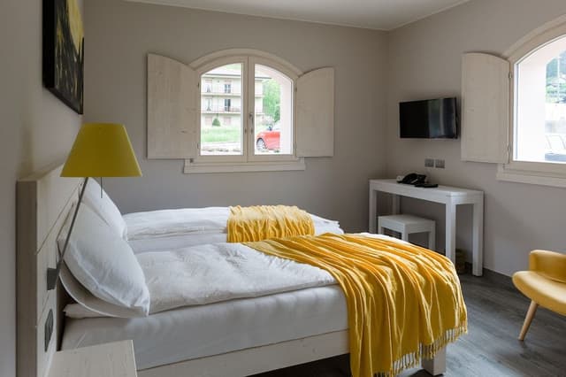 Deluxe Double or Twin Room