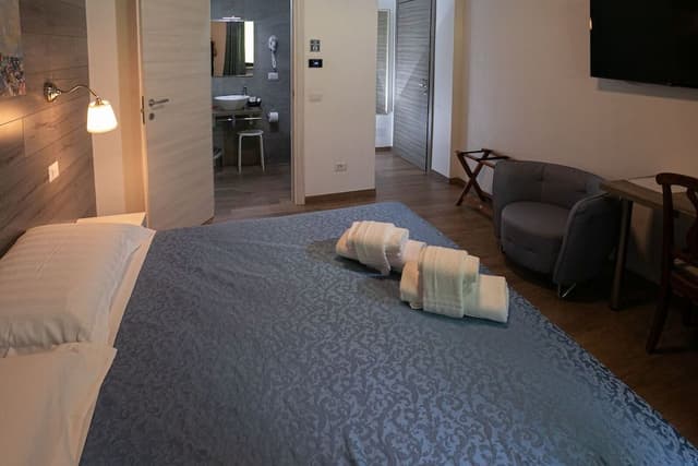 Standard Double or Twin Room