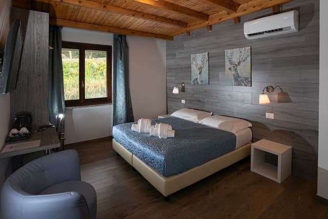 Standard Double or Twin Room