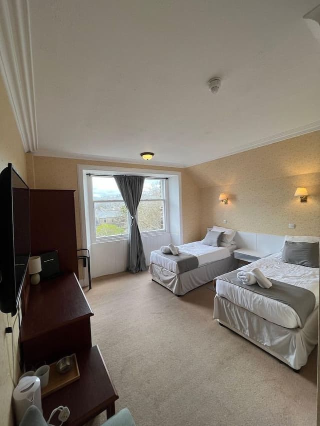 Basic Twin Room