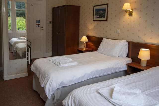 Basic Twin Room
