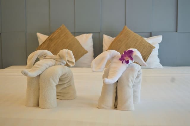 Superior Double or Twin Room Pool View