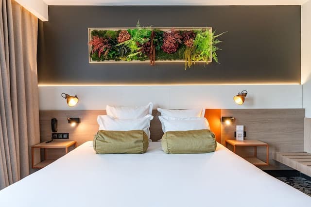 Superior Room, Terrace
