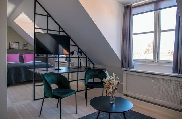 Business Deluxe double room