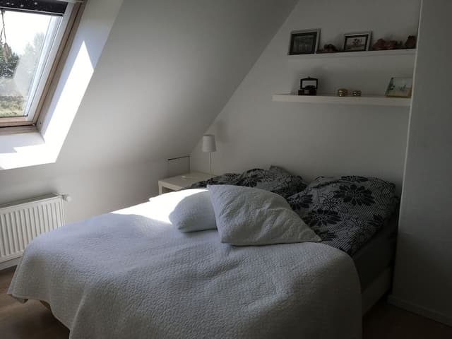 Basic Apartment