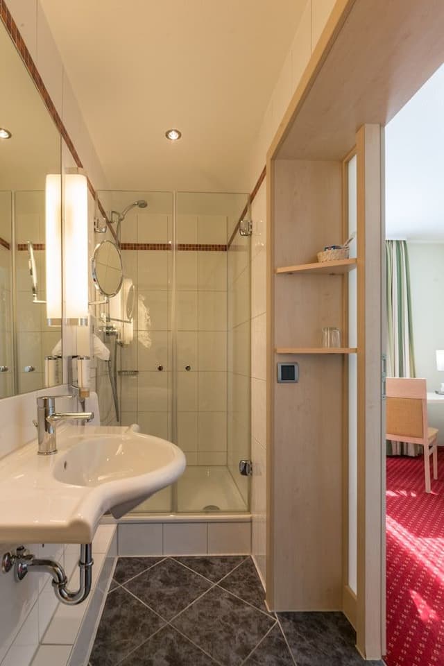 Business Double Room Single Use, 1 Queen Bed, Non Smoking