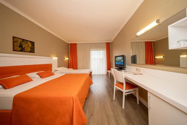 Classic Single Room