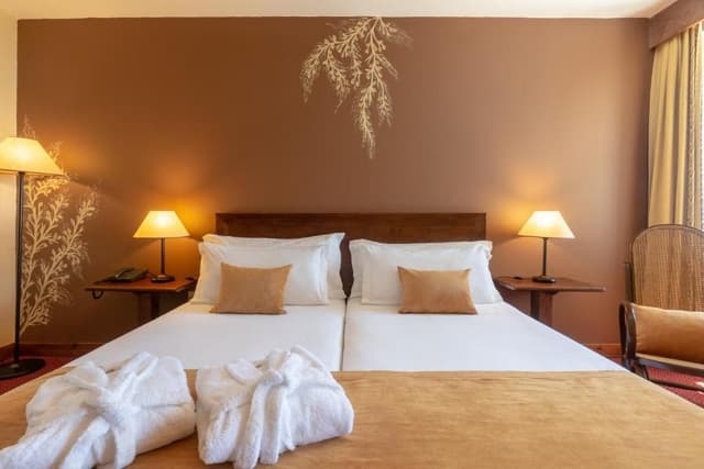 Superior Double or Twin Room (2 Adults + 1 Child) with Panoramic View